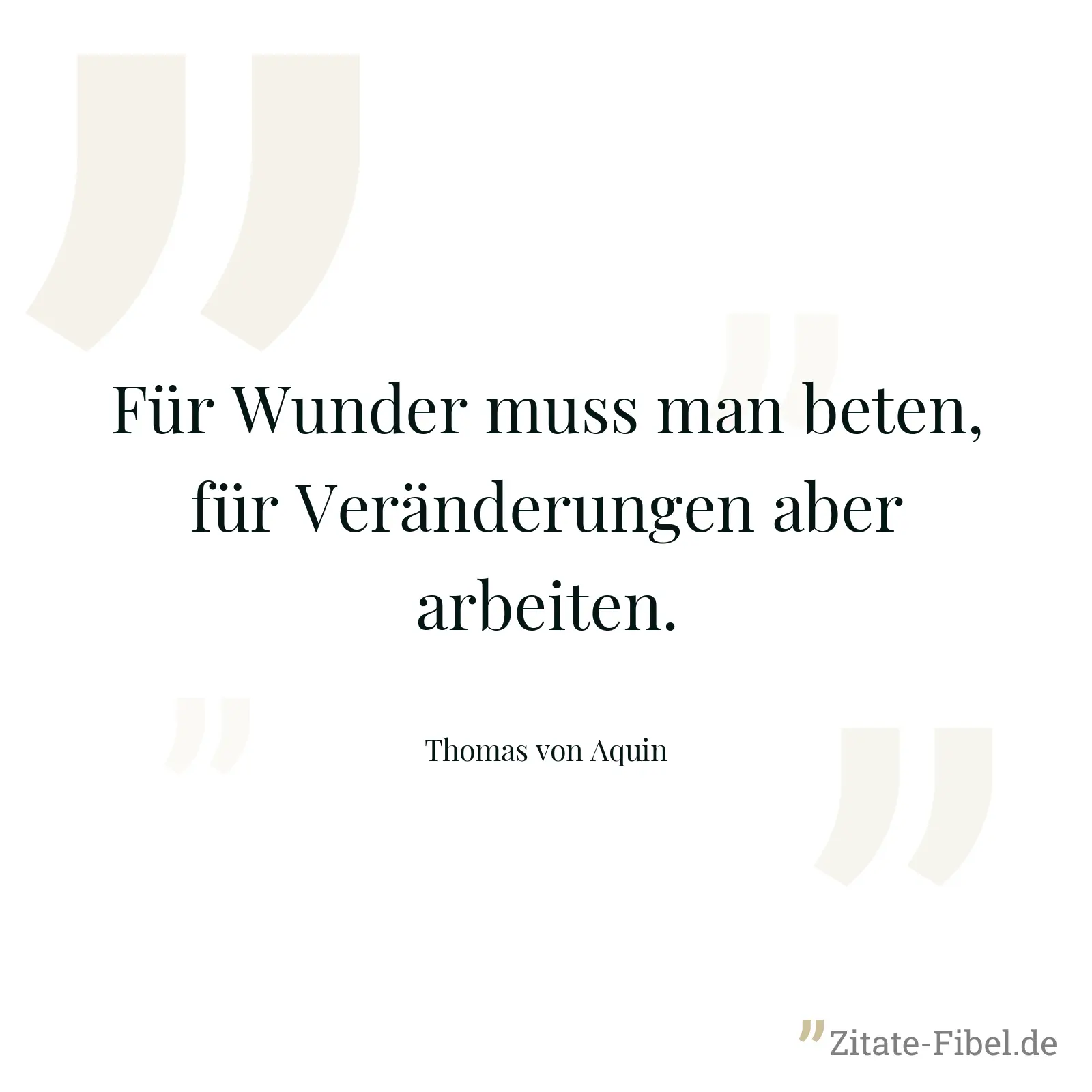 Für Wunder muss man beten, für Veränderungen aber arbeiten. - Thomas von Aquin