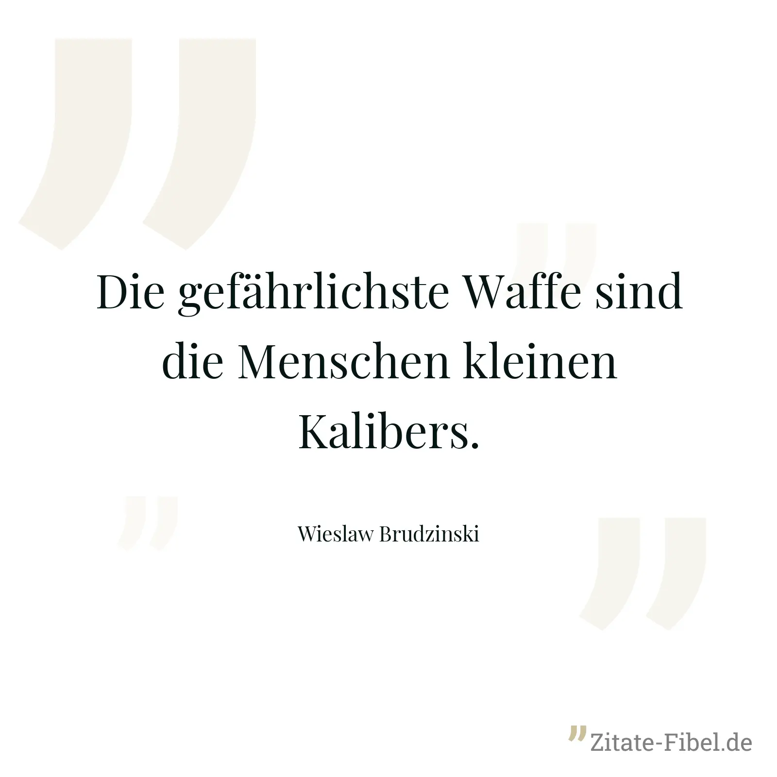 Die gefährlichste Waffe sind die Menschen kleinen Kalibers. - Wieslaw Brudzinski