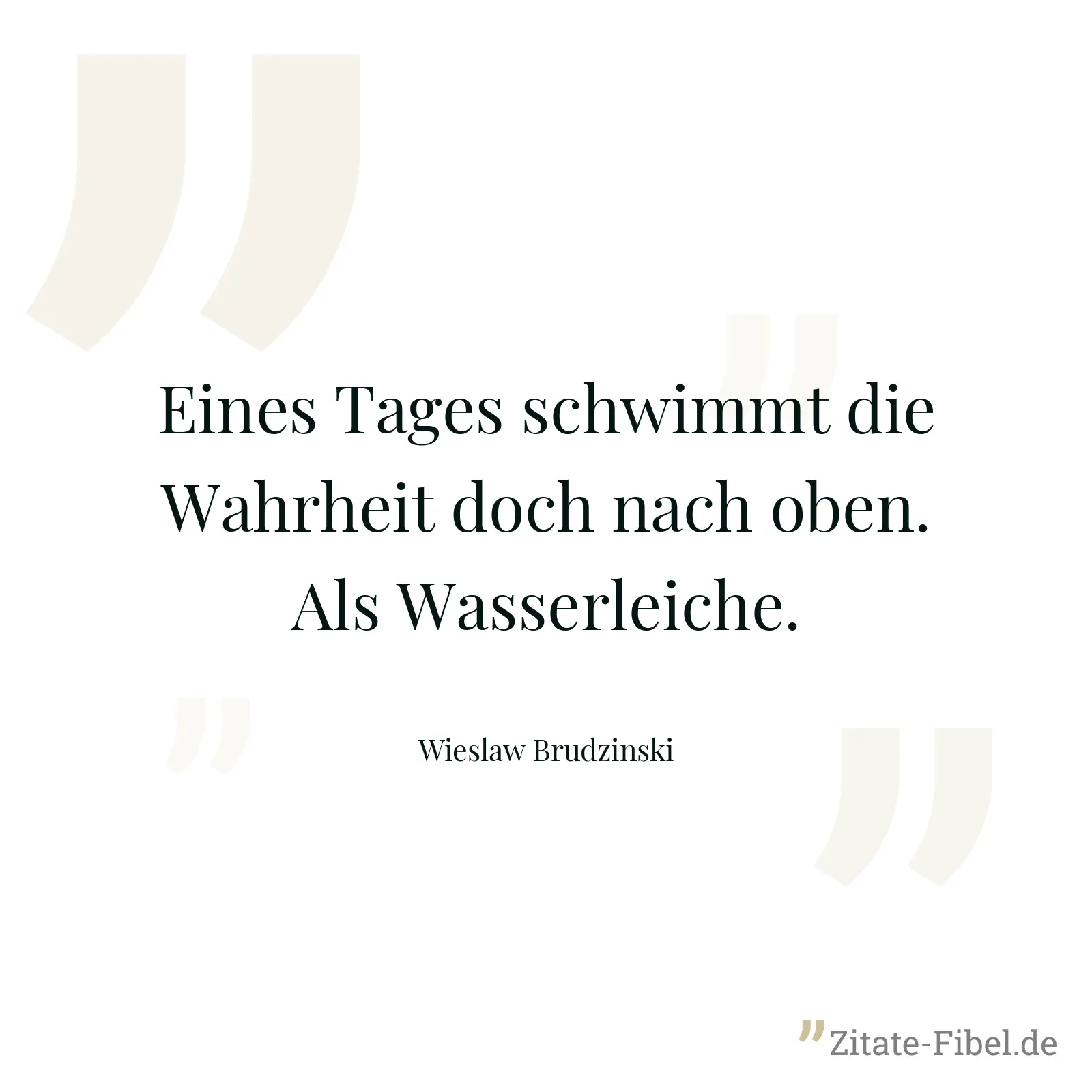 Eines Tages schwimmt die Wahrheit doch nach oben. Als Wasserleiche. - Wieslaw Brudzinski