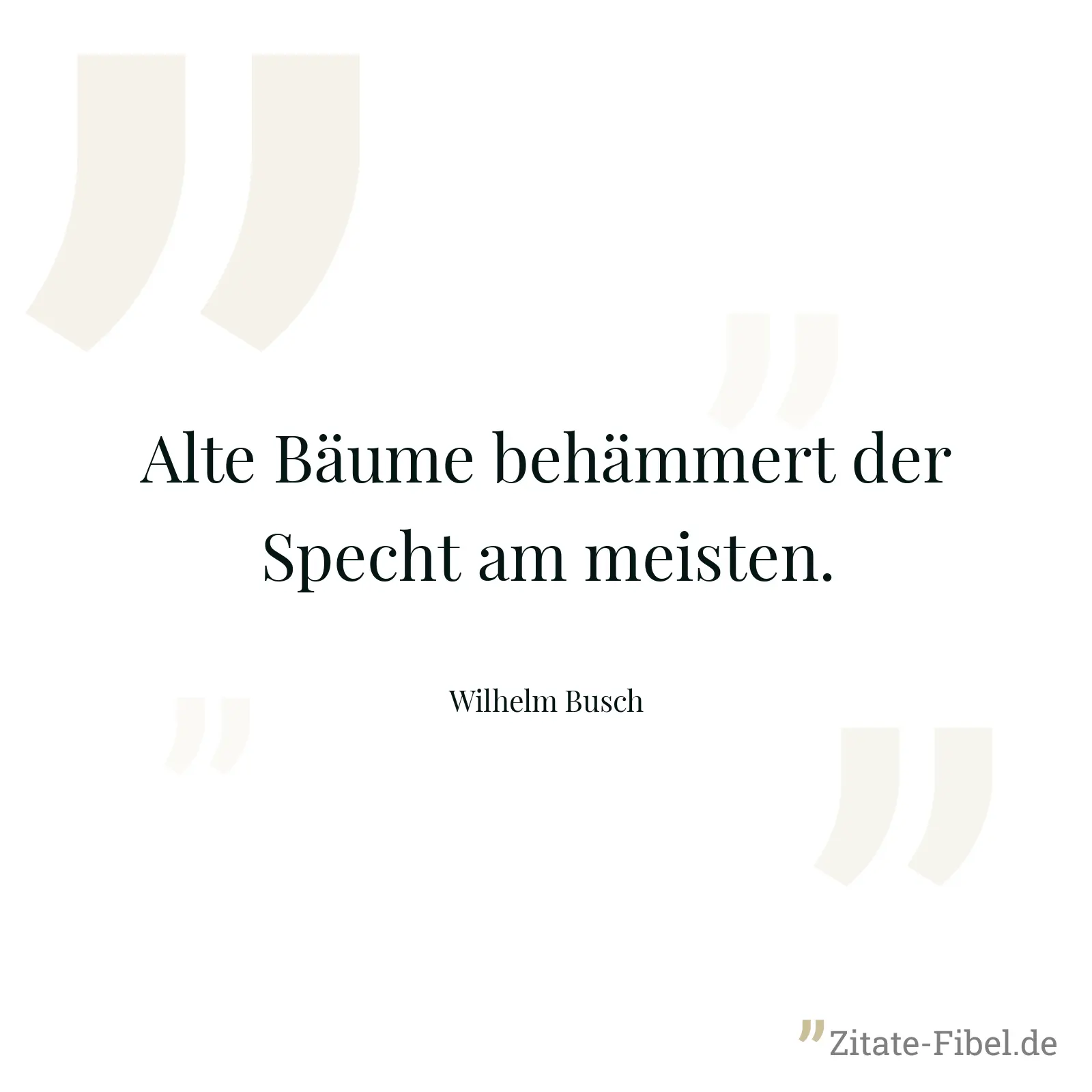 Alte Bäume behämmert der Specht am meisten. - Wilhelm Busch