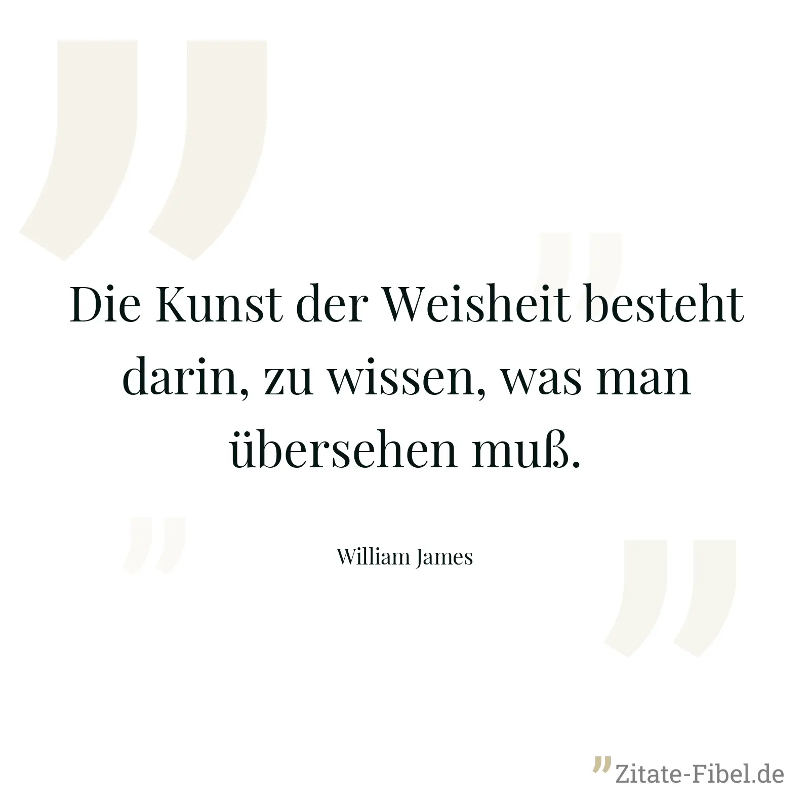 Die Kunst der Weisheit besteht darin, zu wissen, was man übersehen muß. - William James