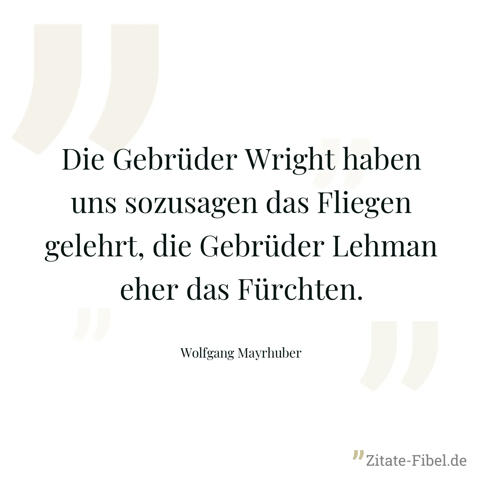 Die Gebrüder Wright haben uns sozusagen das Fliegen gelehrt, die Gebrüder Lehman eher das Fürchten. - Wolfgang Mayrhuber