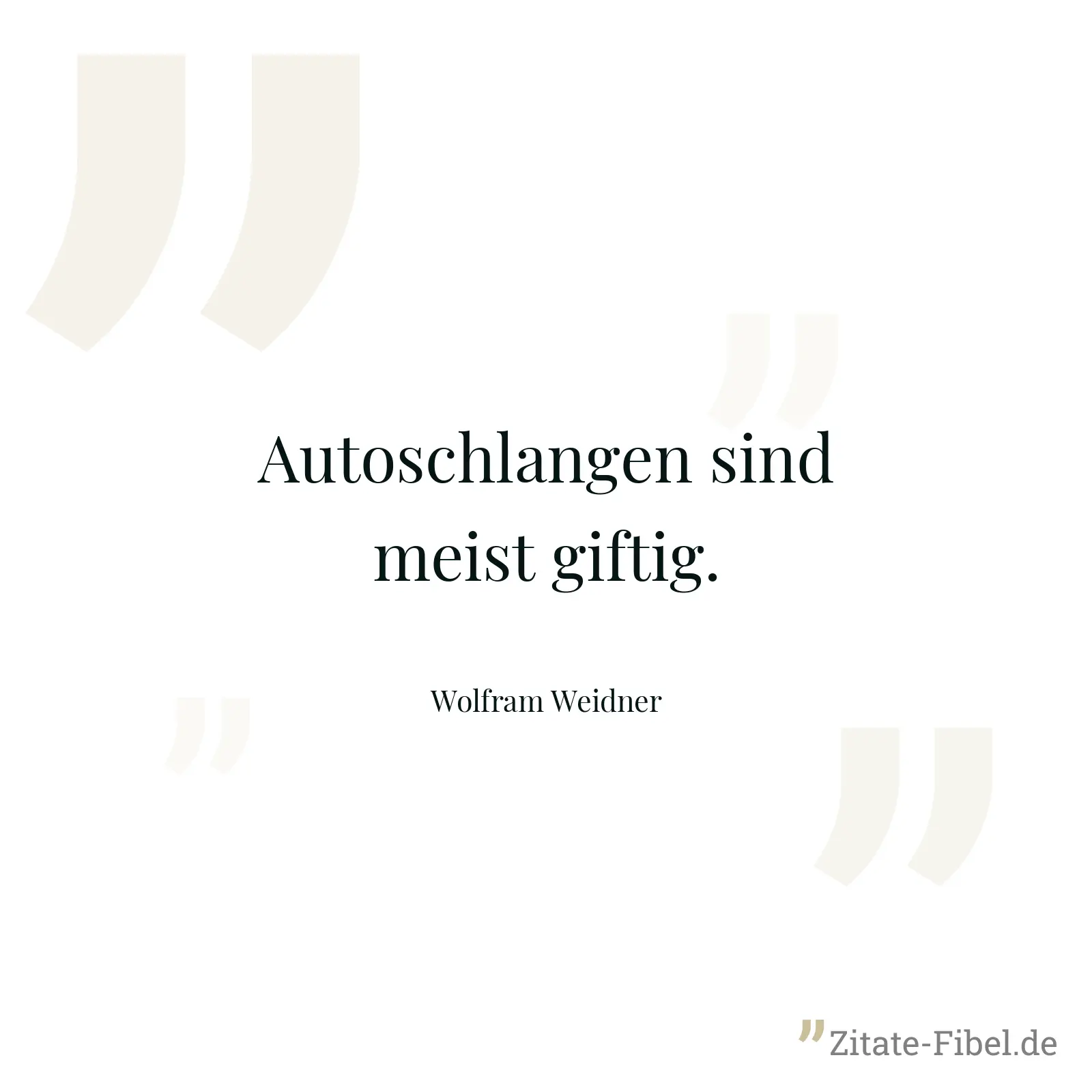 Autoschlangen sind meist giftig. - Wolfram Weidner