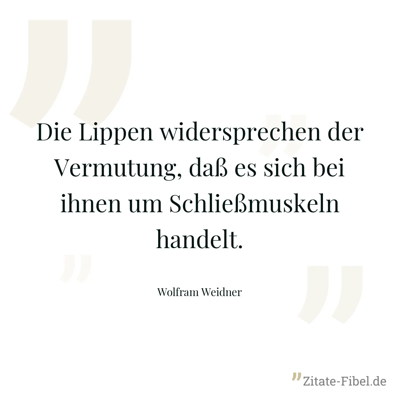 Die Lippen widersprechen der Vermutung, daß es sich bei ihnen um Schließmuskeln handelt. - Wolfram Weidner
